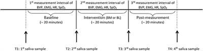 Psychophysiological Effects of Biographical Interventions in People With Unresponsive Wakefulness Syndrome and Minimally Conscious State